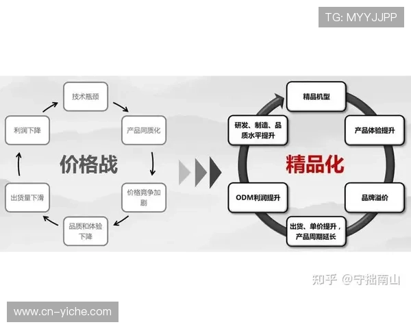 中国体育用品制造业转型：从代工到品牌建设的路径分析